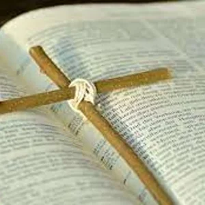 The Bible Journey Daily Podcast